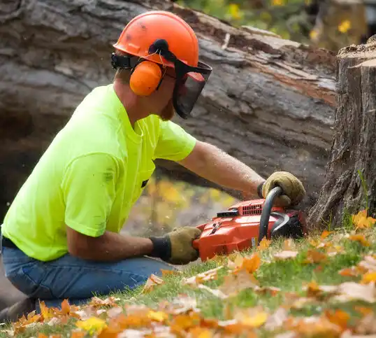 tree services Paincourtville